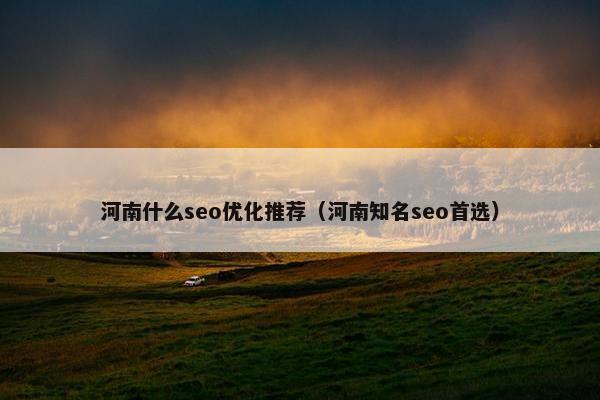 河南什么seo优化推荐（河南知名seo首选）-第1张图片-冷动云