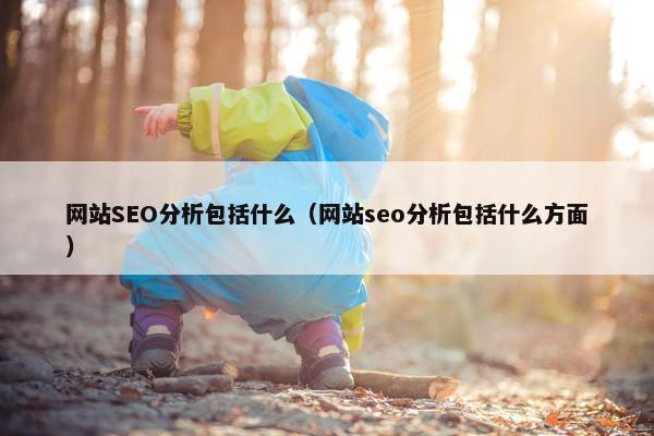 网站SEO分析包括什么（网站seo分析包括什么方面）-第1张图片-冷动云