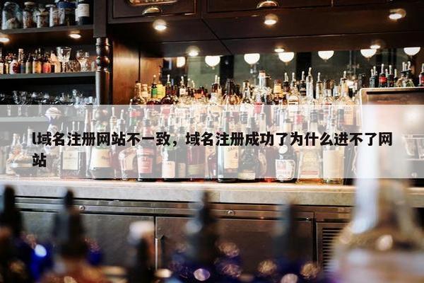 l域名注册网站不一致，域名注册成功了为什么进不了网站-第1张图片-冷动云