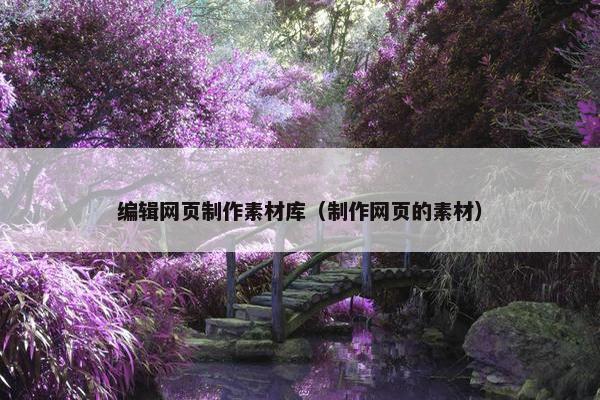 编辑网页制作素材库（制作网页的素材）-第1张图片-冷动云