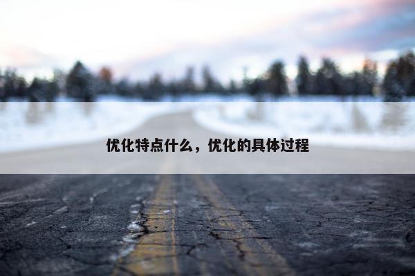 优化特点什么，优化的具体过程-第1张图片-冷动云