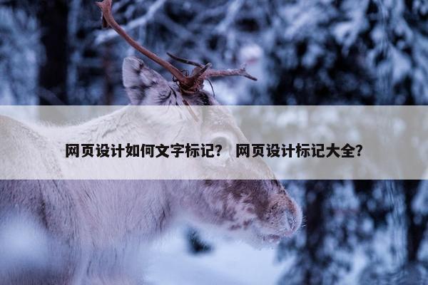 网页设计如何文字标记？ 网页设计标记大全？-第1张图片-冷动云