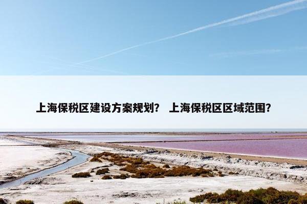 上海保税区建设方案规划？ 上海保税区区域范围？-第1张图片-冷动云
