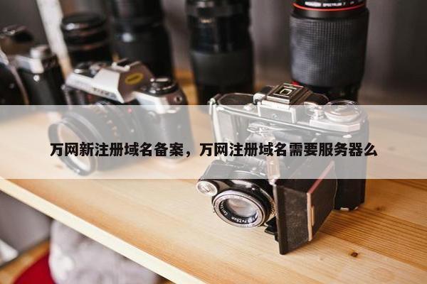 万网新注册域名备案，万网注册域名需要服务器么-第1张图片-冷动云