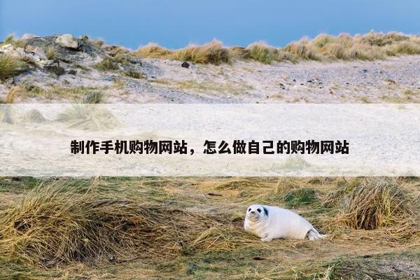 制作手机购物网站，怎么做自己的购物网站-第1张图片-冷动云