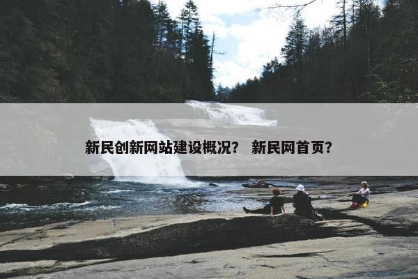 新民创新网站建设概况？ 新民网首页？-第1张图片-冷动云