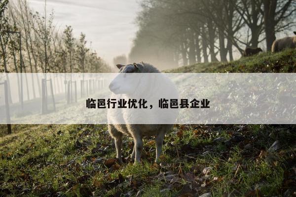 临邑行业优化，临邑县企业-第1张图片-冷动云