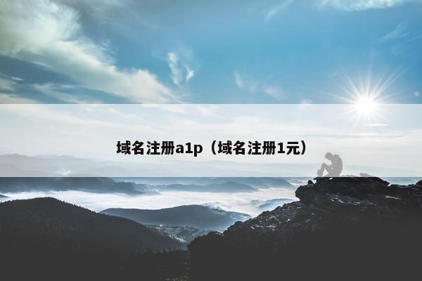 域名注册a1p（域名注册1元）-第1张图片-冷动云