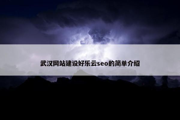 武汉网站建设好乐云seo的简单介绍-第1张图片-冷动云