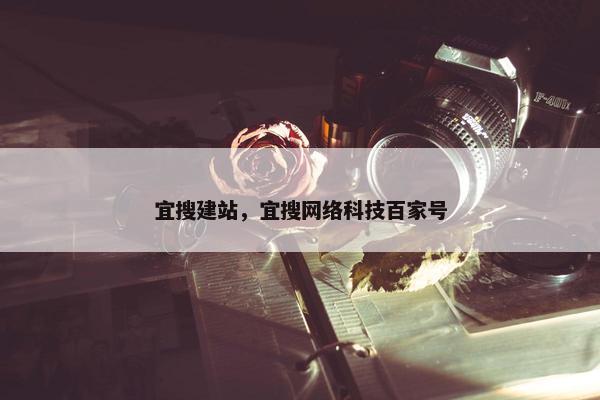 宜搜建站，宜搜网络科技百家号-第1张图片-冷动云
