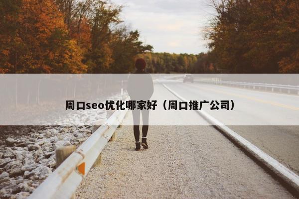 周口seo优化哪家好（周口推广公司）-第1张图片-冷动云