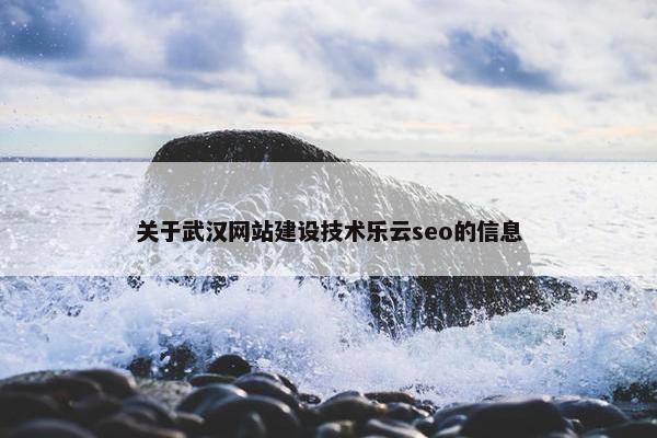 关于武汉网站建设技术乐云seo的信息-第1张图片-冷动云