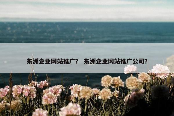 东洲企业网站推广？ 东洲企业网站推广公司？-第1张图片-冷动云