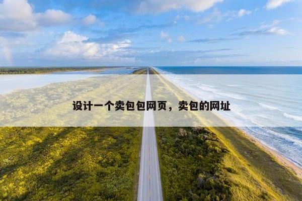 设计一个卖包包网页，卖包的网址-第1张图片-冷动云
