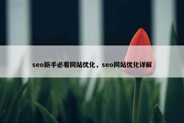 seo新手必看网站优化，seo网站优化详解-第1张图片-冷动云