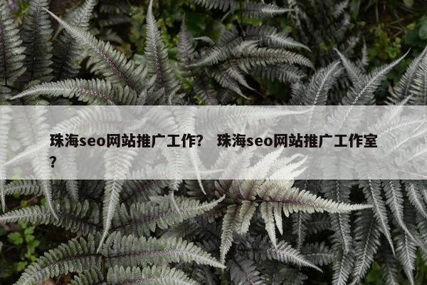 珠海seo网站推广工作？ 珠海seo网站推广工作室？-第1张图片-冷动云