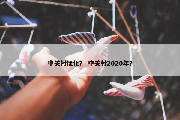 中关村优化？ 中关村2020年？-第1张图片-冷动云