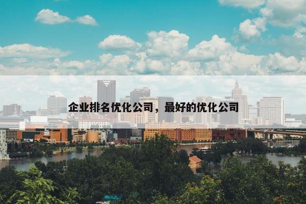 企业排名优化公司，最好的优化公司-第1张图片-冷动云