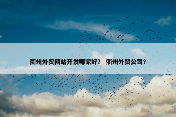 衢州外贸网站开发哪家好？ 衢州外贸公司？-第1张图片-冷动云