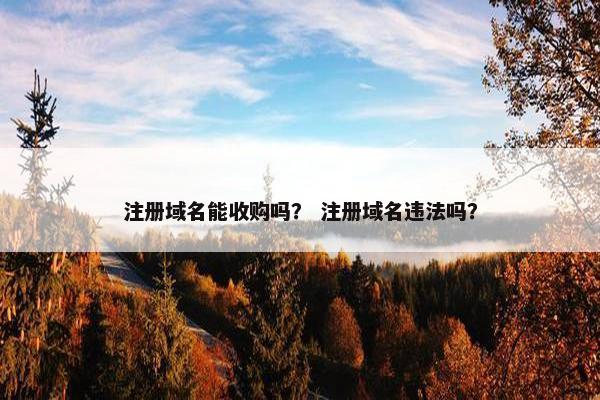 注册域名能收购吗？ 注册域名违法吗？-第1张图片-冷动云
