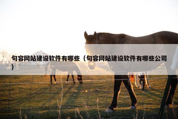 句容网站建设软件有哪些（句容网站建设软件有哪些公司）-第1张图片-冷动云