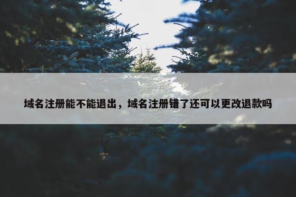域名注册能不能退出，域名注册错了还可以更改退款吗-第1张图片-冷动云