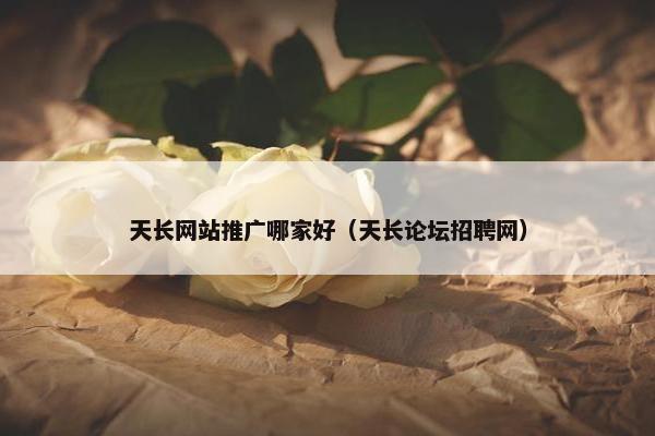 天长网站推广哪家好（天长论坛招聘网）-第1张图片-冷动云