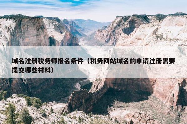 域名注册税务师报名条件（税务网站域名的申请注册需要提交哪些材料）-第1张图片-冷动云