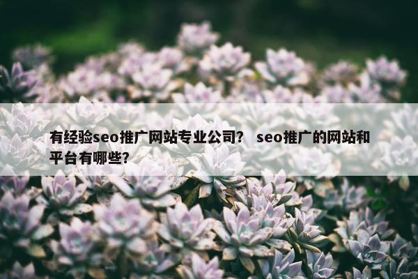 有经验seo推广网站专业公司？ seo推广的网站和平台有哪些？-第1张图片-冷动云