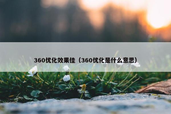 360优化效果佳（360优化是什么意思）-第1张图片-冷动云