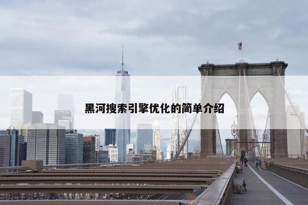 黑河搜索引擎优化的简单介绍-第1张图片-冷动云