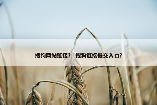 搜狗网站链接？ 搜狗链接提交入口？-第1张图片-冷动云