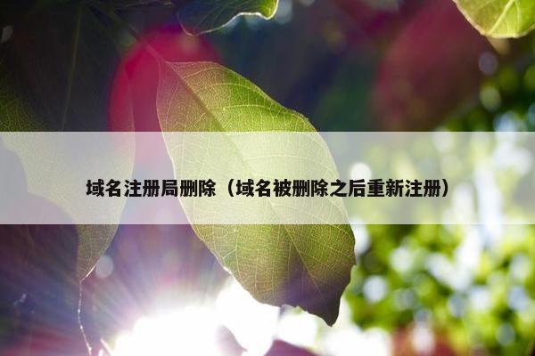 域名注册局删除（域名被删除之后重新注册）-第1张图片-冷动云