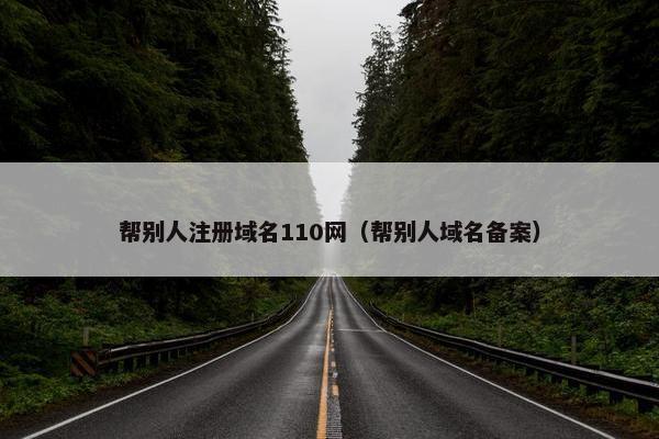帮别人注册域名110网（帮别人域名备案）-第1张图片-冷动云