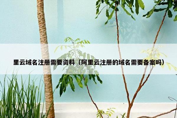 里云域名注册需要资料（阿里云注册的域名需要备案吗）-第1张图片-冷动云