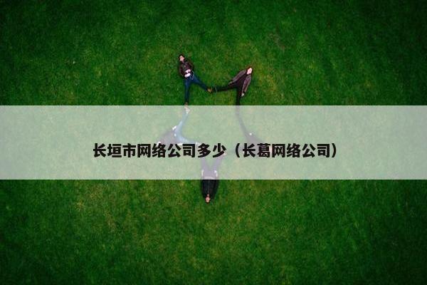 长垣市网络公司多少（长葛网络公司）-第1张图片-冷动云