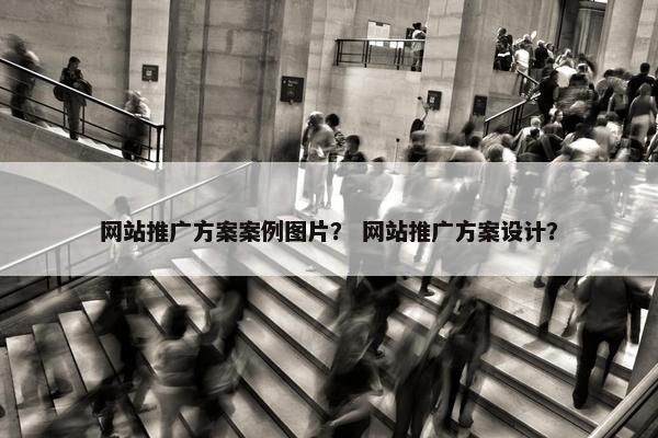 网站推广方案案例图片？ 网站推广方案设计？-第1张图片-冷动云