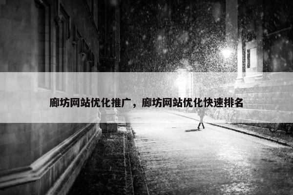 廊坊网站优化推广，廊坊网站优化快速排名-第1张图片-冷动云