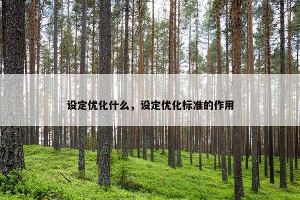 设定优化什么，设定优化标准的作用-第1张图片-冷动云