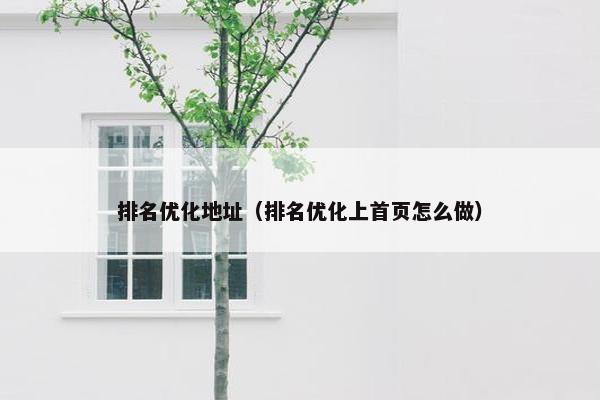 排名优化地址（排名优化上首页怎么做）-第1张图片-冷动云