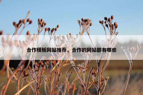 合作模板网站推荐，合作的网站都有哪些-第1张图片-冷动云