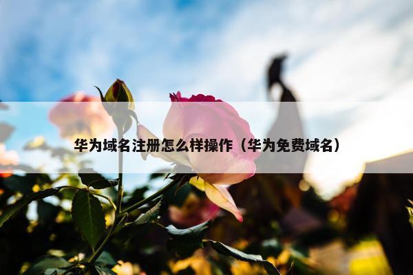 华为域名注册怎么样操作（华为免费域名）-第1张图片-冷动云