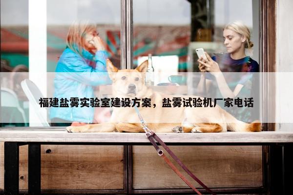 福建盐雾实验室建设方案，盐雾试验机厂家电话-第1张图片-冷动云