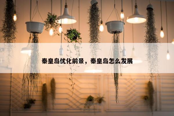 秦皇岛优化前景，秦皇岛怎么发展-第1张图片-冷动云