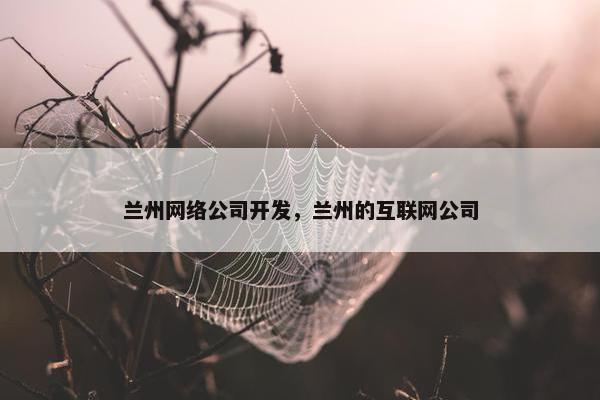 兰州网络公司开发，兰州的互联网公司-第1张图片-冷动云