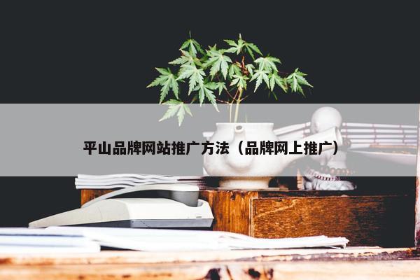 平山品牌网站推广方法（品牌网上推广）-第1张图片-冷动云