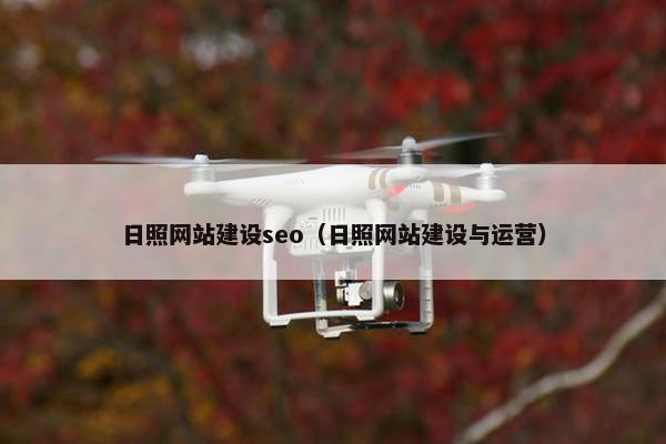 日照网站建设seo（日照网站建设与运营）-第1张图片-冷动云