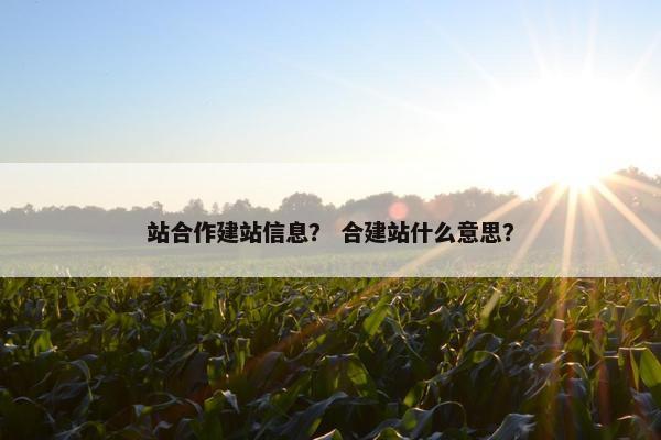 站合作建站信息？ 合建站什么意思？-第1张图片-冷动云