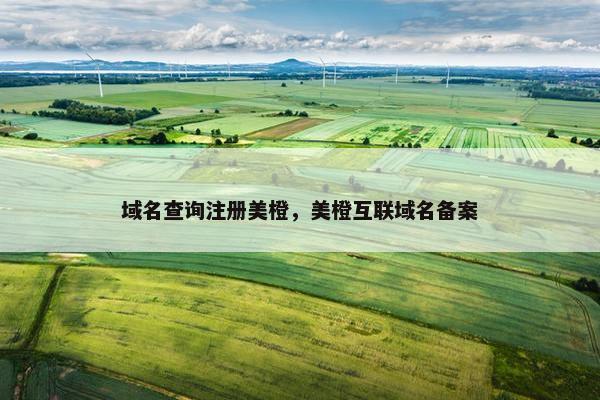 域名查询注册美橙，美橙互联域名备案-第1张图片-冷动云