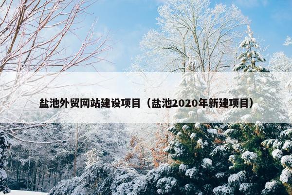 盐池外贸网站建设项目（盐池2020年新建项目）-第1张图片-冷动云